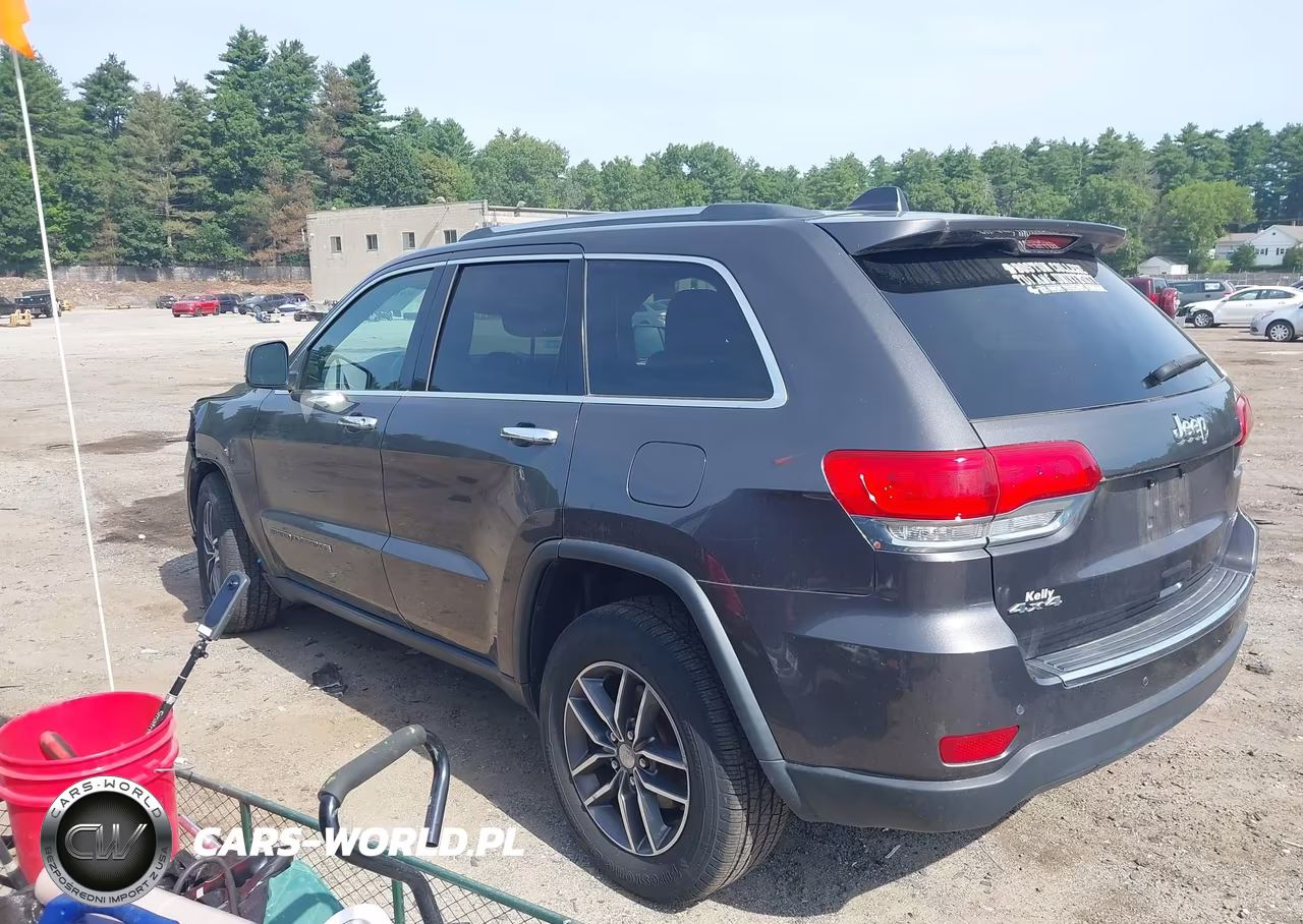 2018 Jeep Grand Cherokee Limited 4X4 VIN:1C4RJFBG4JC129067 - 3