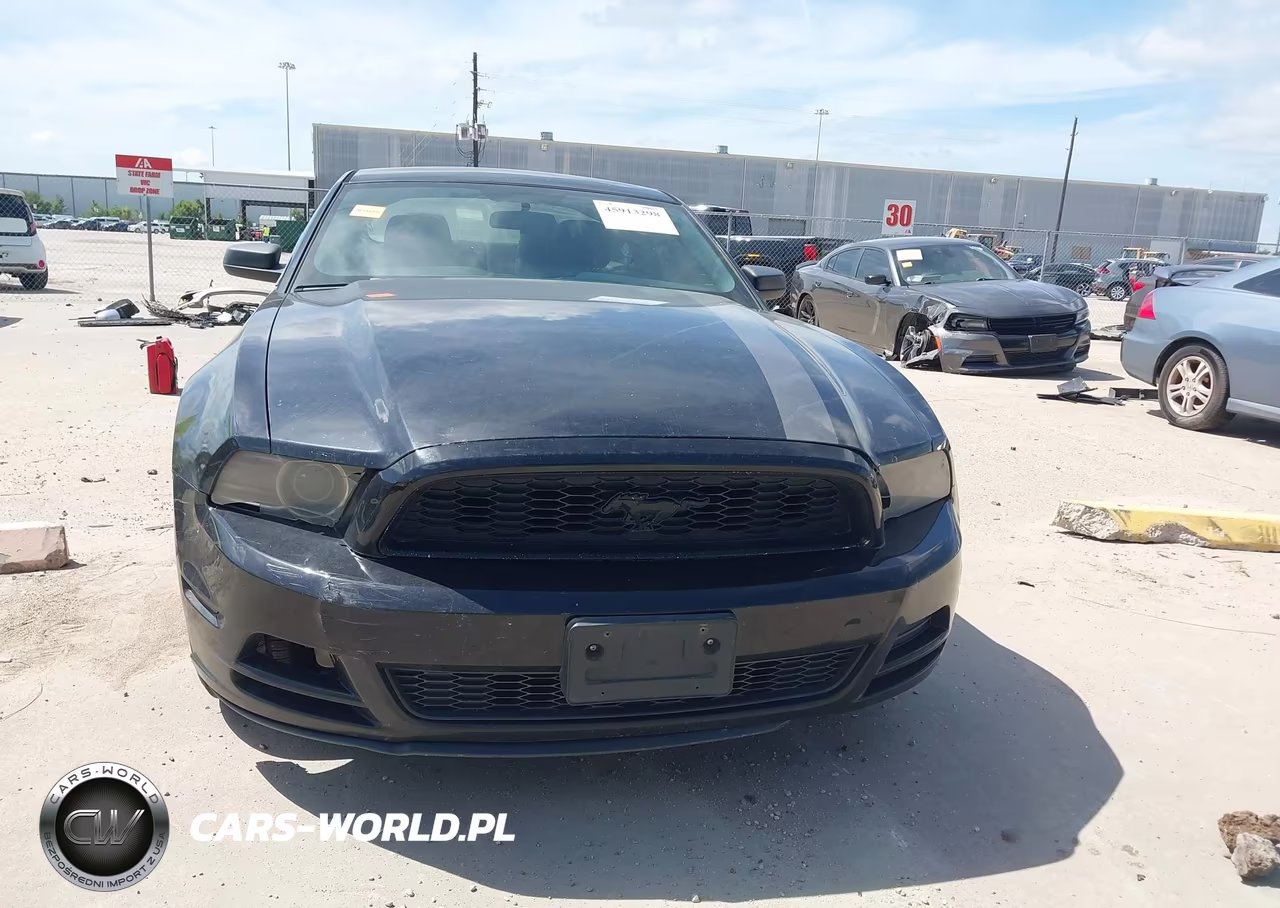 2013 Ford Mustang V6 VIN:1ZVBP8AMXD5276020 - 12