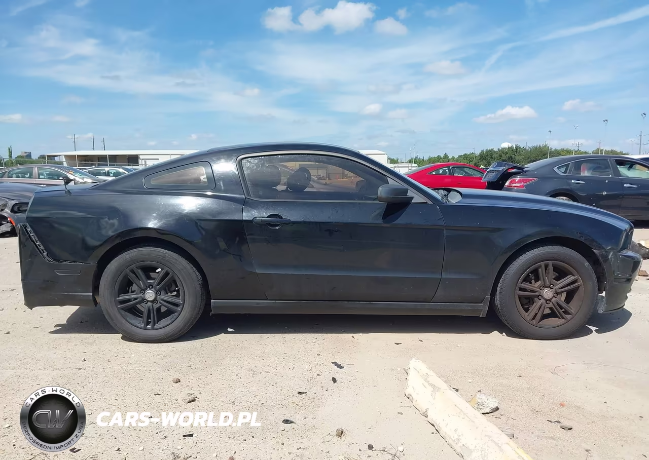 2013 Ford Mustang V6 VIN:1ZVBP8AMXD5276020 - 13