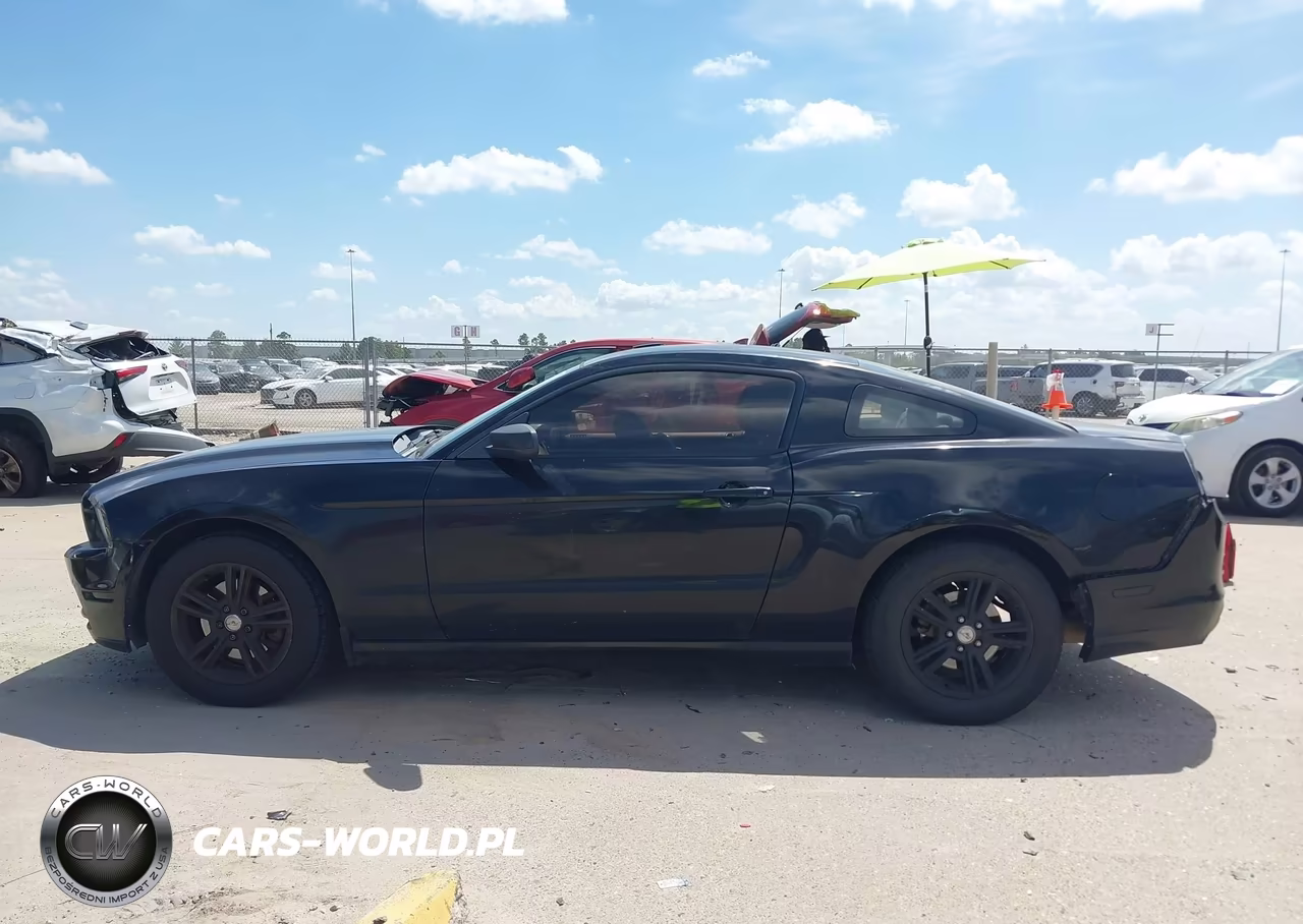 2013 Ford Mustang V6 VIN:1ZVBP8AMXD5276020 - 14