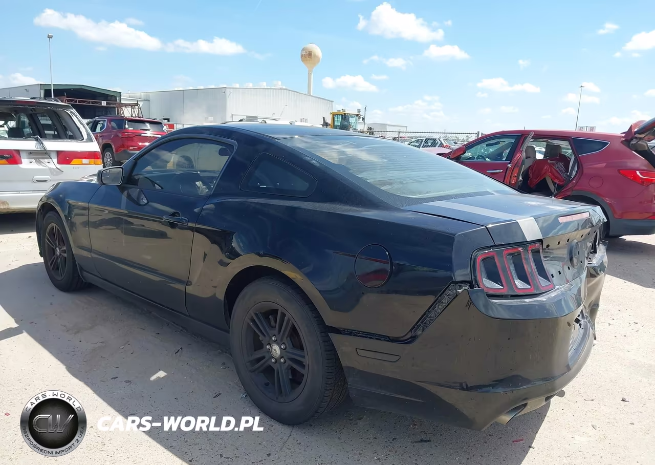 2013 Ford Mustang V6 VIN:1ZVBP8AMXD5276020 - 3