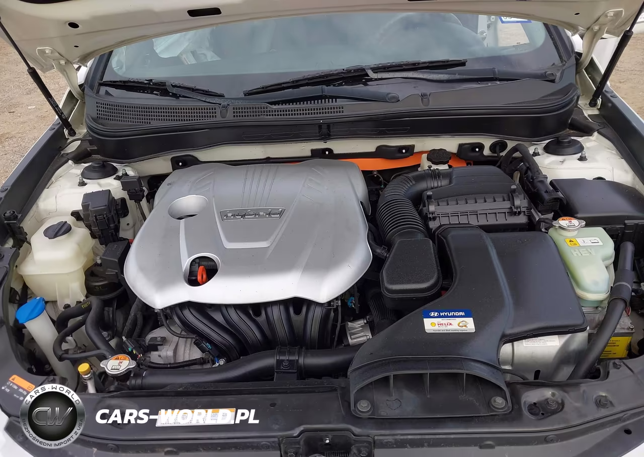 2014 Hyundai Sonata Hybrid VIN:KMHEC4A48EA118123 - 10