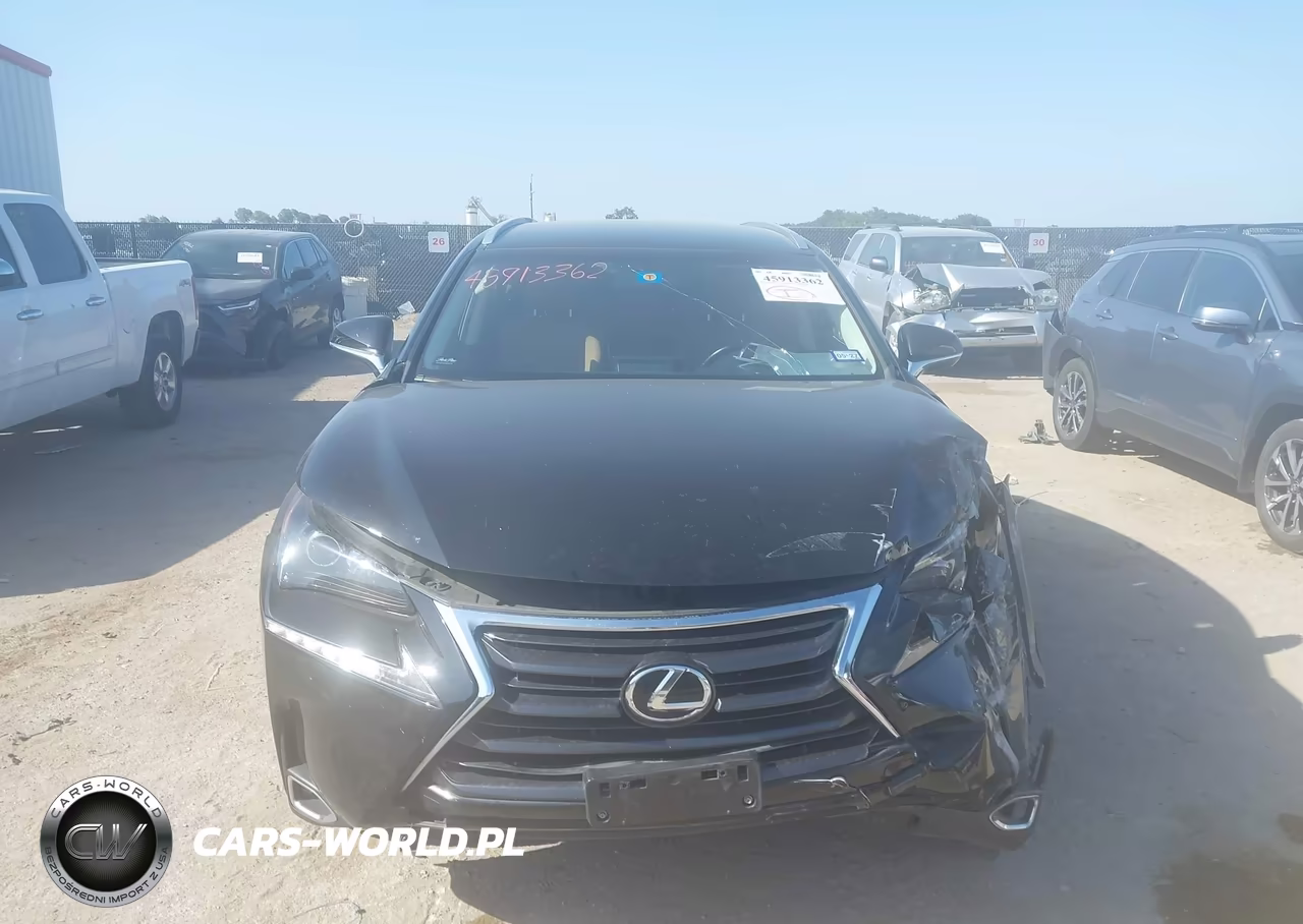 2016 Lexus Nx 200T VIN:JTJYARBZ5G2042966 - 12