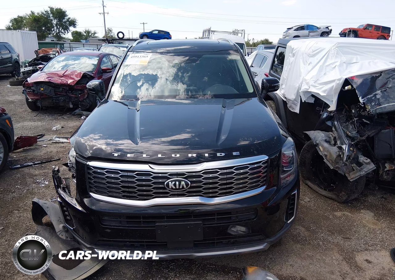 2020 Kia Telluride Ex VIN:5XYP3DHC1LG078457 - 12