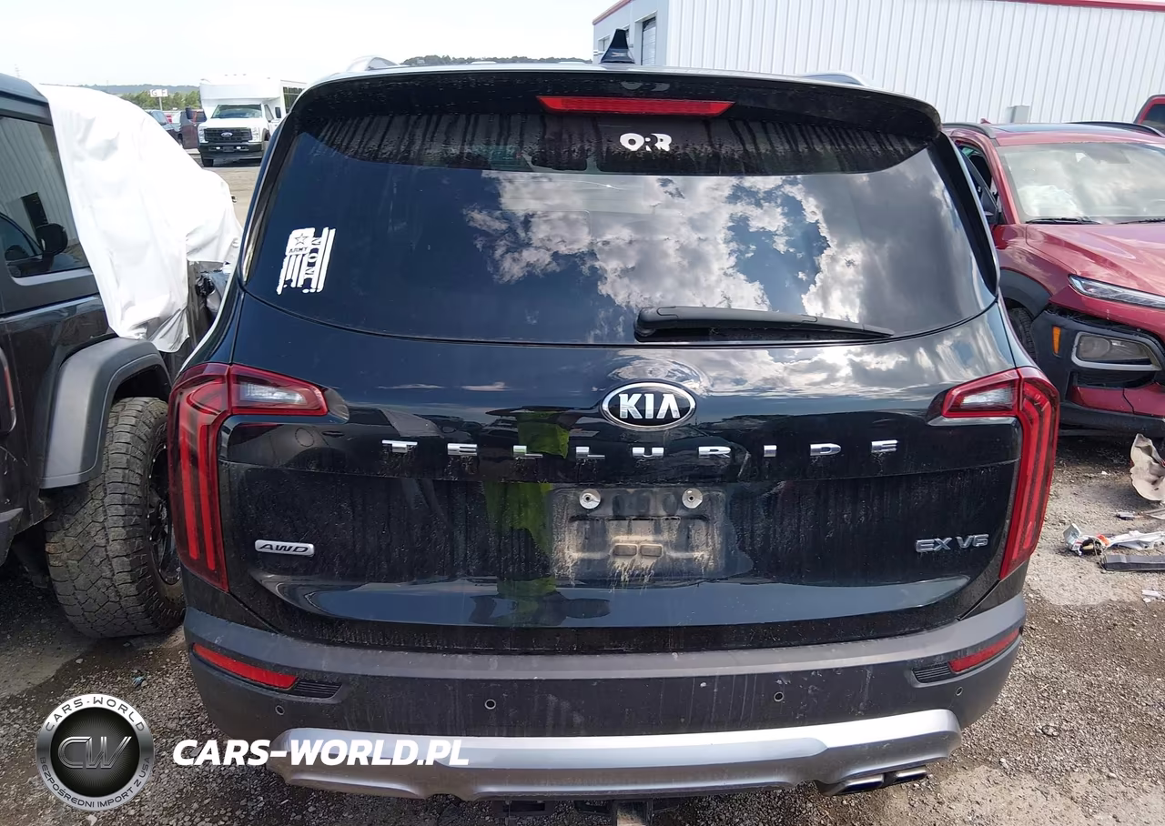2020 Kia Telluride Ex VIN:5XYP3DHC1LG078457 - 16