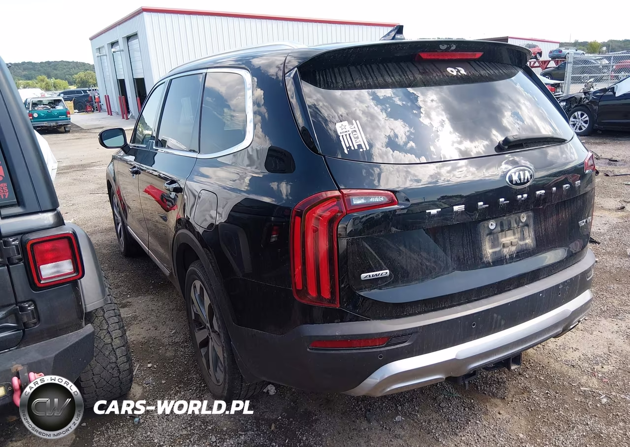 2020 Kia Telluride Ex VIN:5XYP3DHC1LG078457 - 3