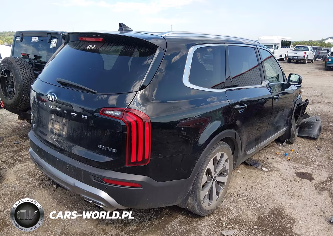 2020 Kia Telluride Ex VIN:5XYP3DHC1LG078457 - 4