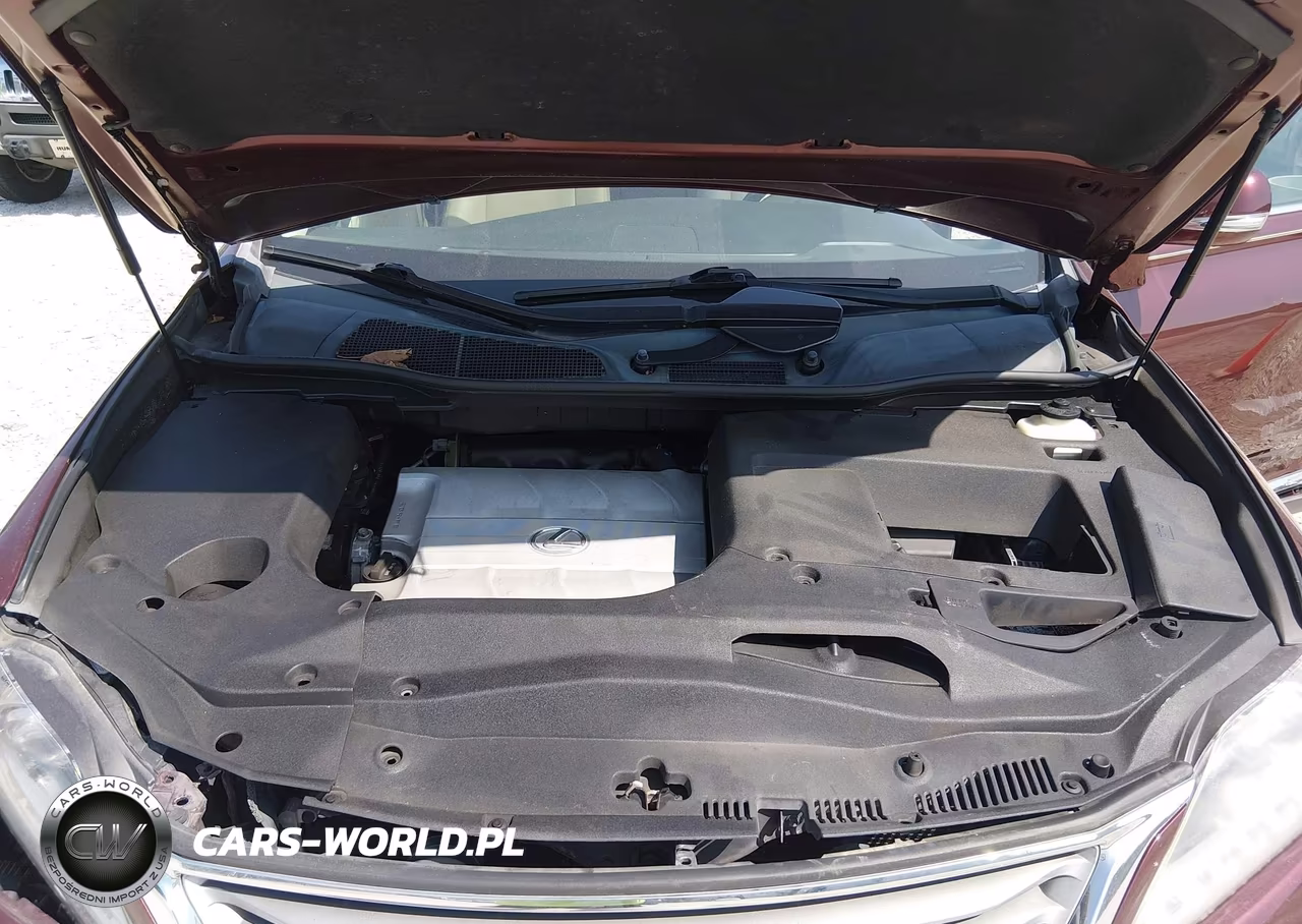 2015 Lexus Rx 350 VIN:2T2BK1BA1FC267415 - 10