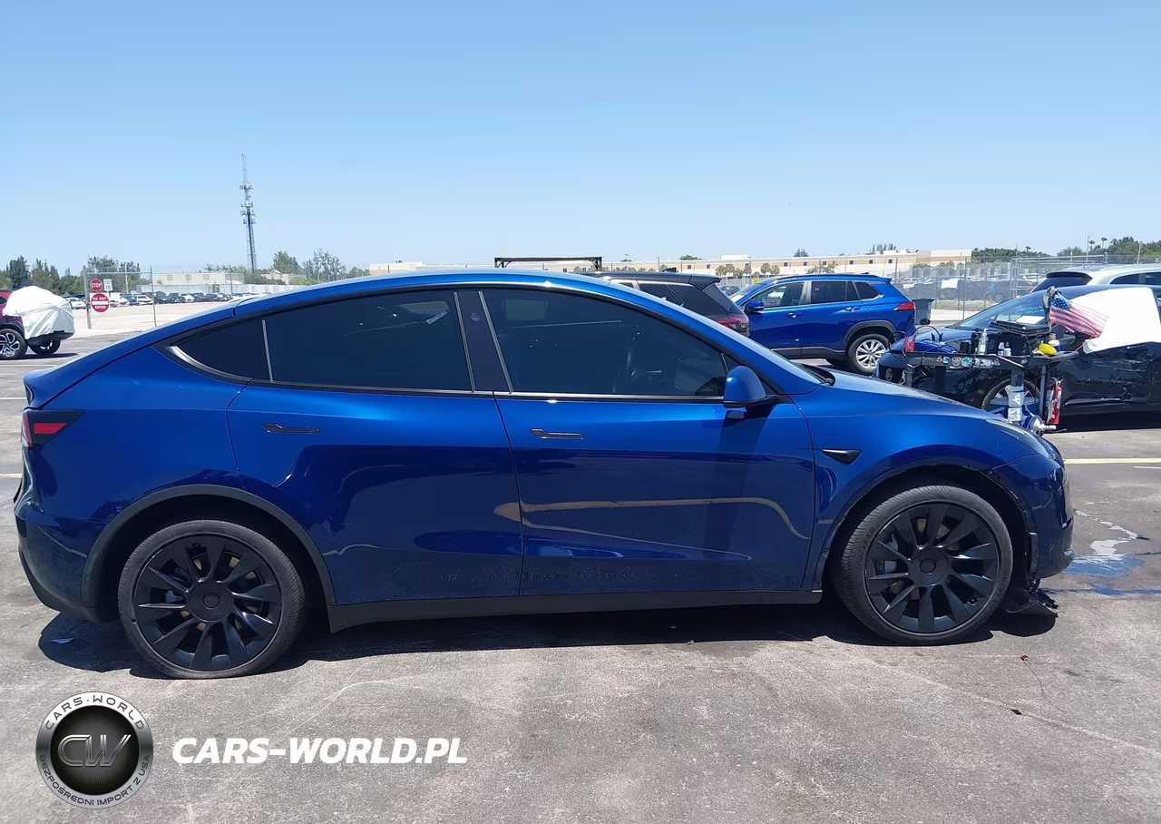 2025 Tesla Model Y Long Range Dual Motor Rear-Wheel Drive VIN:7SAYGDED5SF221909 - 12