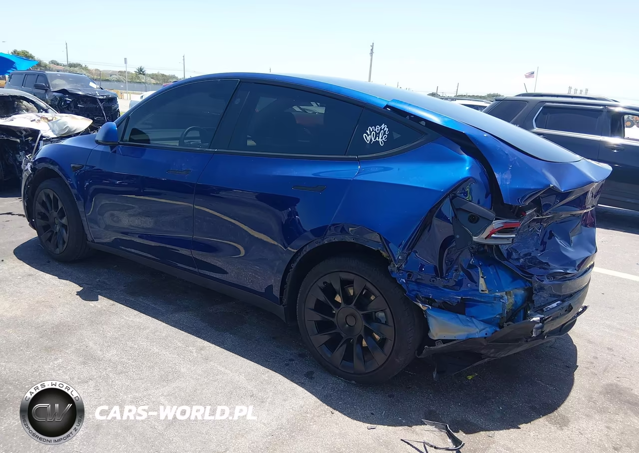 2025 Tesla Model Y Long Range Dual Motor Rear-Wheel Drive VIN:7SAYGDED5SF221909 - 3