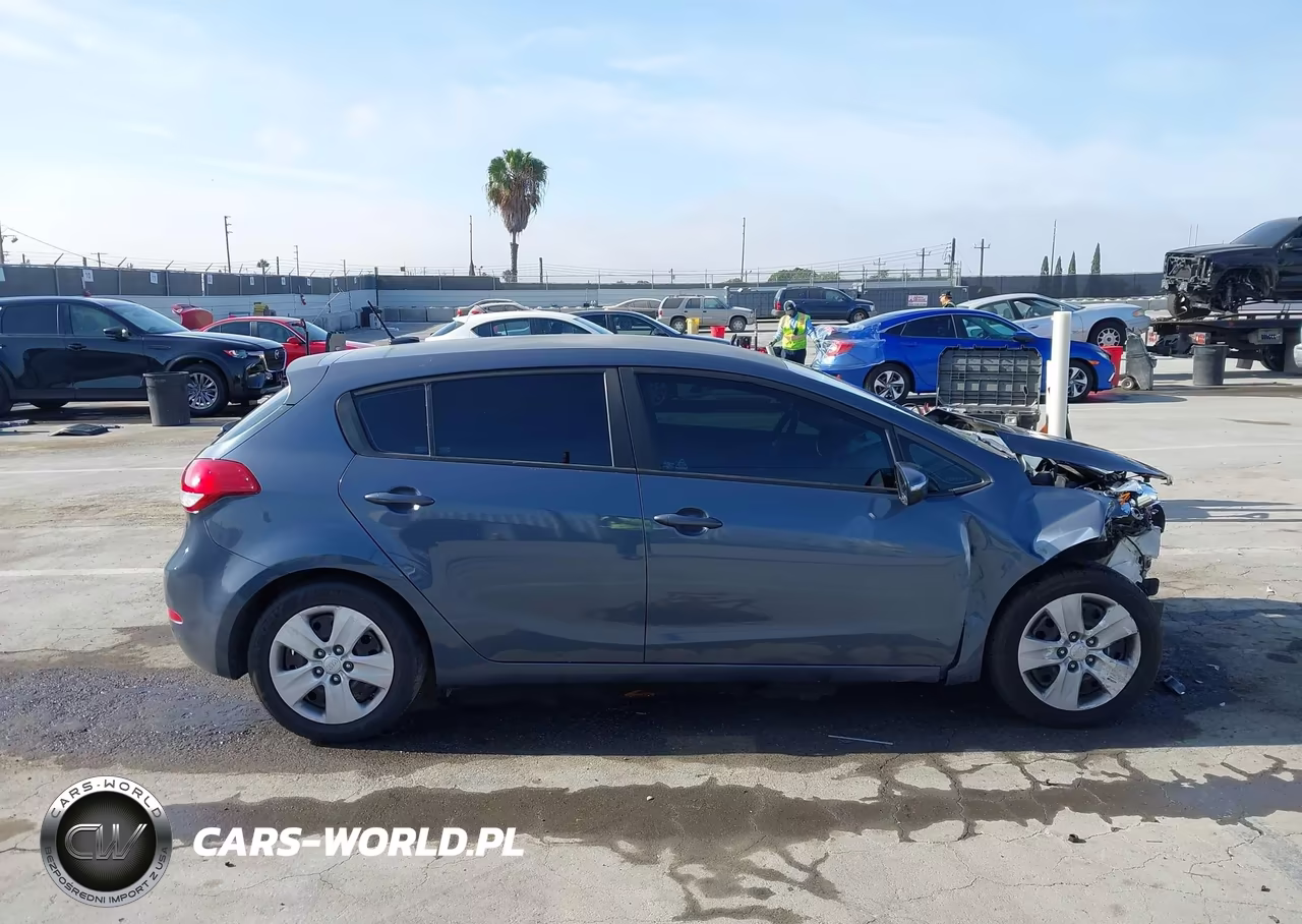 2016 Kia Forte Lx VIN:KNAFK5A89G5640014 - 14