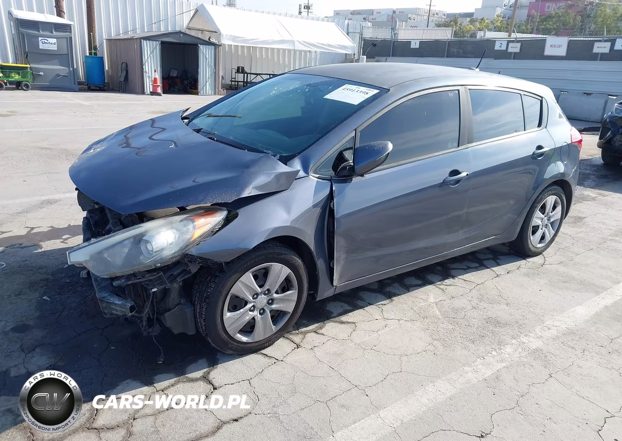 2016 Kia Forte Lx VIN:KNAFK5A89G5640014 - 2