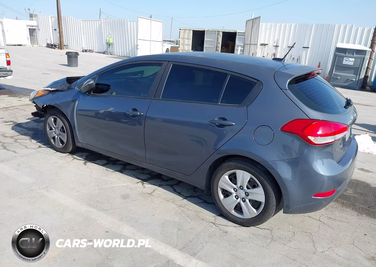2016 Kia Forte Lx VIN:KNAFK5A89G5640014 - 3
