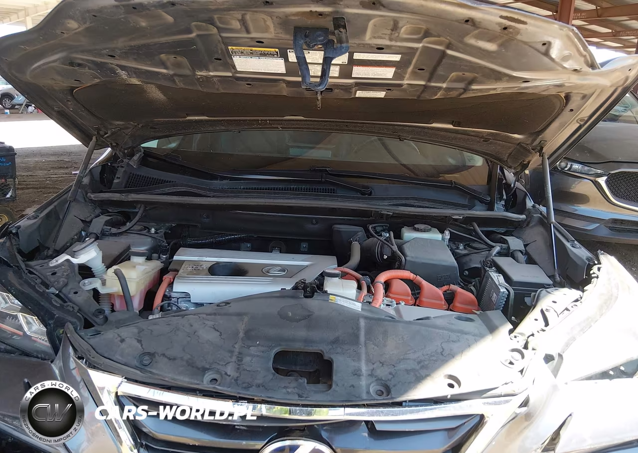 2015 Lexus Nx 300H VIN:JTJBJRBZ5F2022088 - 10