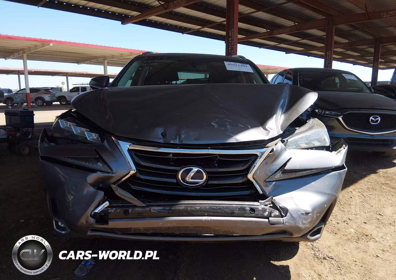 2015 Lexus Nx 300H VIN:JTJBJRBZ5F2022088 - 12