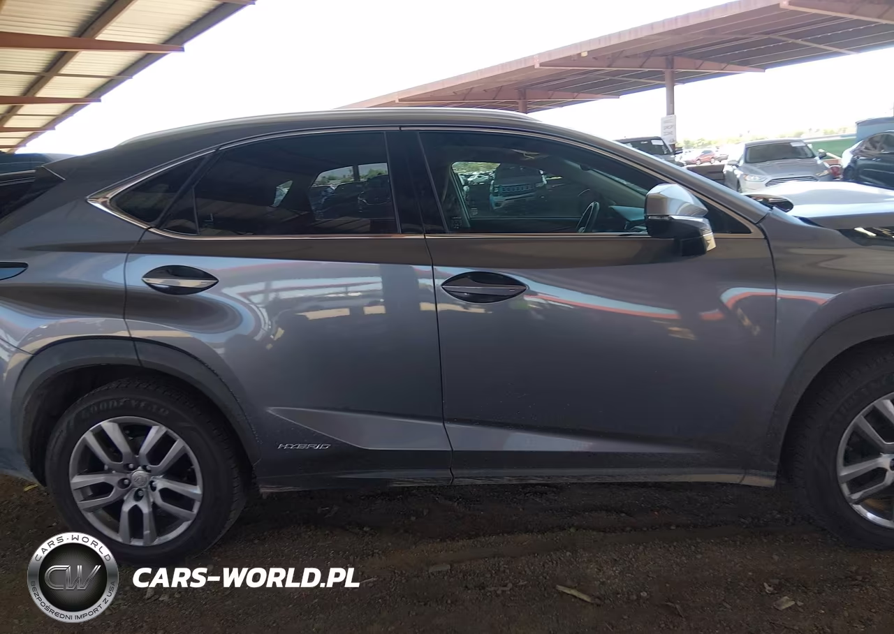 2015 Lexus Nx 300H VIN:JTJBJRBZ5F2022088 - 13