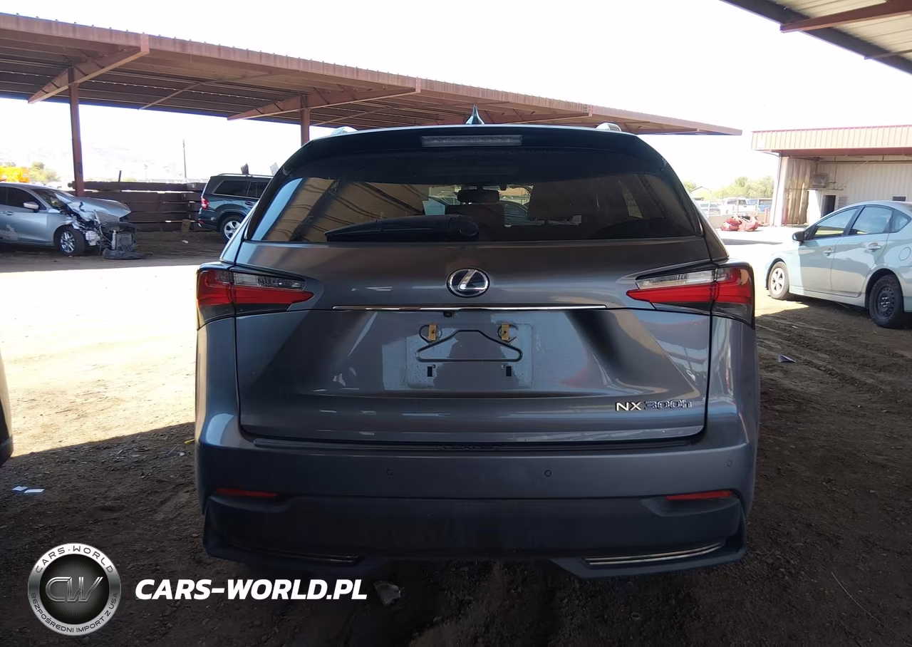 2015 Lexus Nx 300H VIN:JTJBJRBZ5F2022088 - 16
