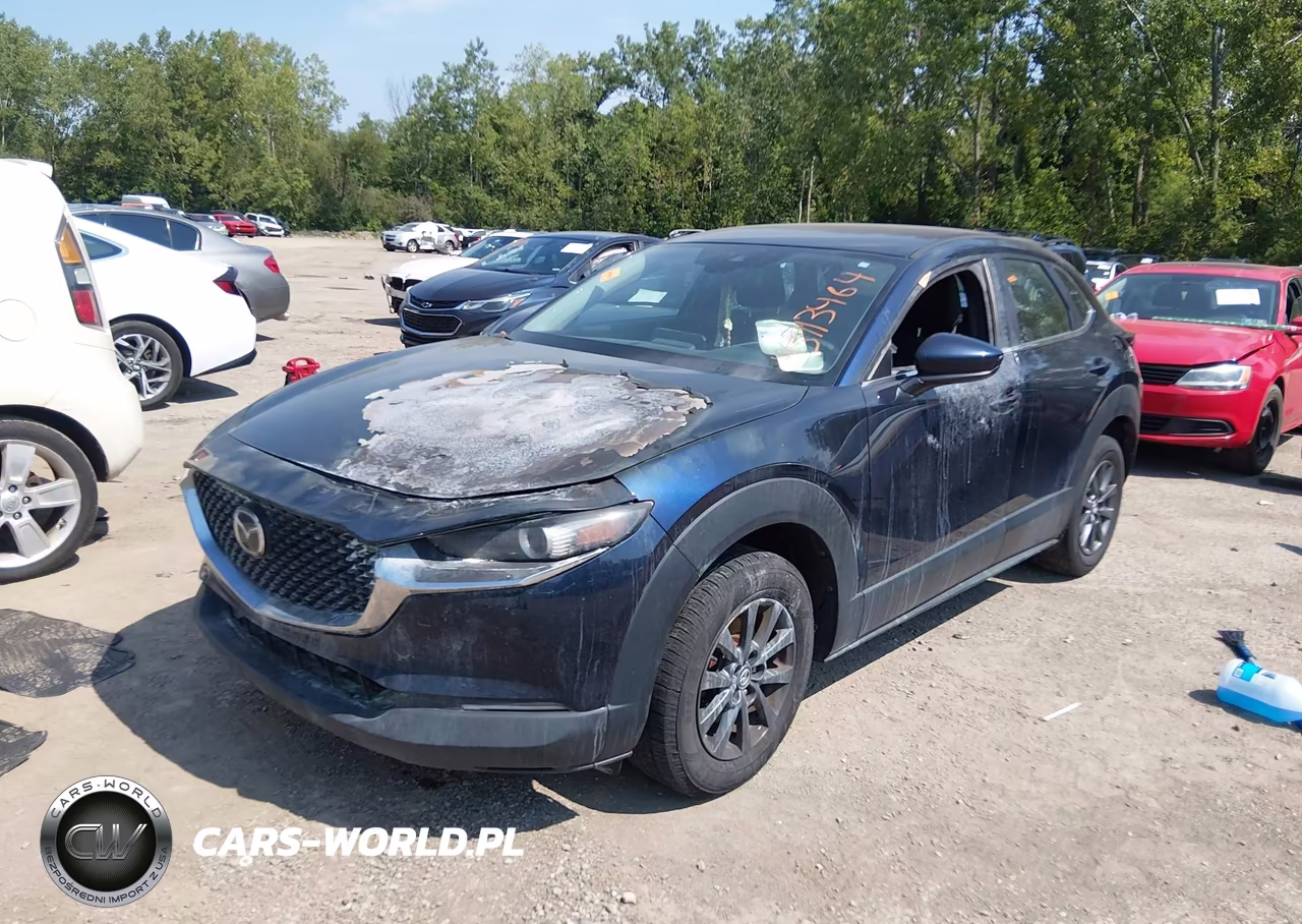 2020 Mazda Cx-30 VIN:3MVDMBBL5LM138349 - 2