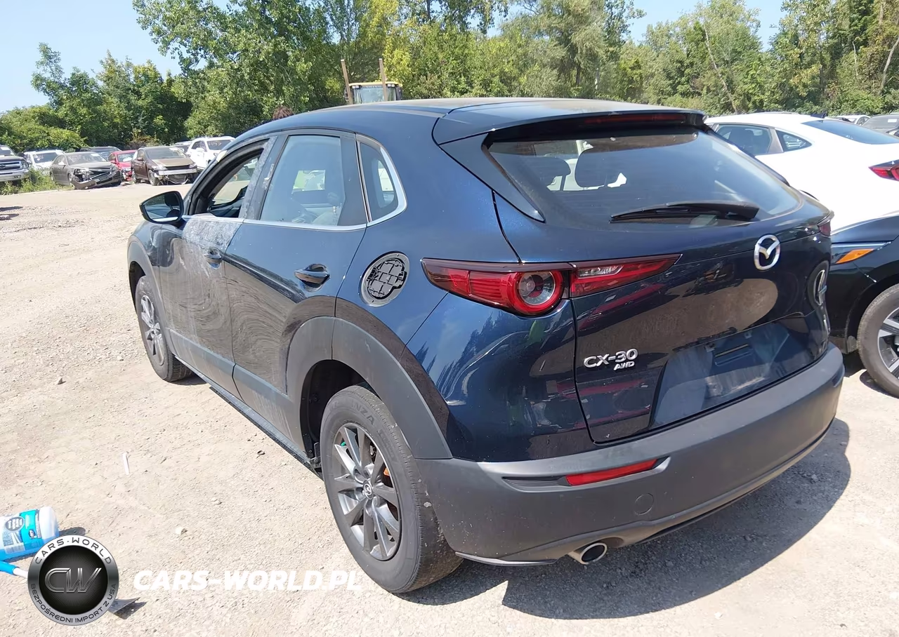 2020 Mazda Cx-30 VIN:3MVDMBBL5LM138349 - 3