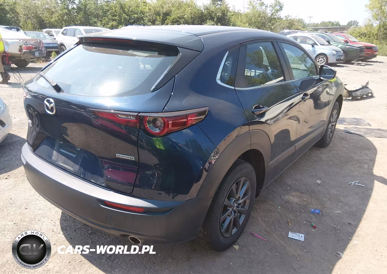 2020 Mazda Cx-30 VIN:3MVDMBBL5LM138349 - 4