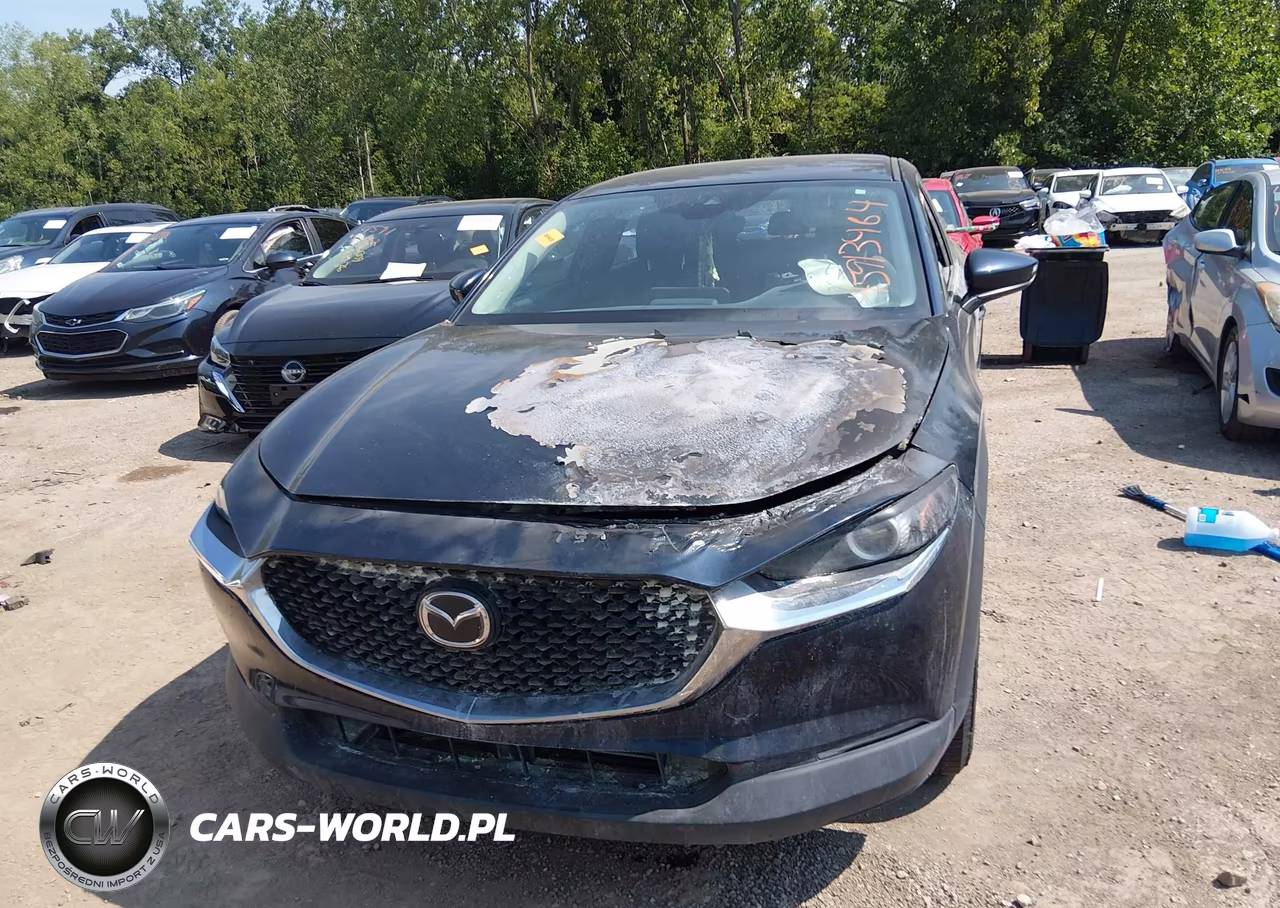 2020 Mazda Cx-30 VIN:3MVDMBBL5LM138349 - 6