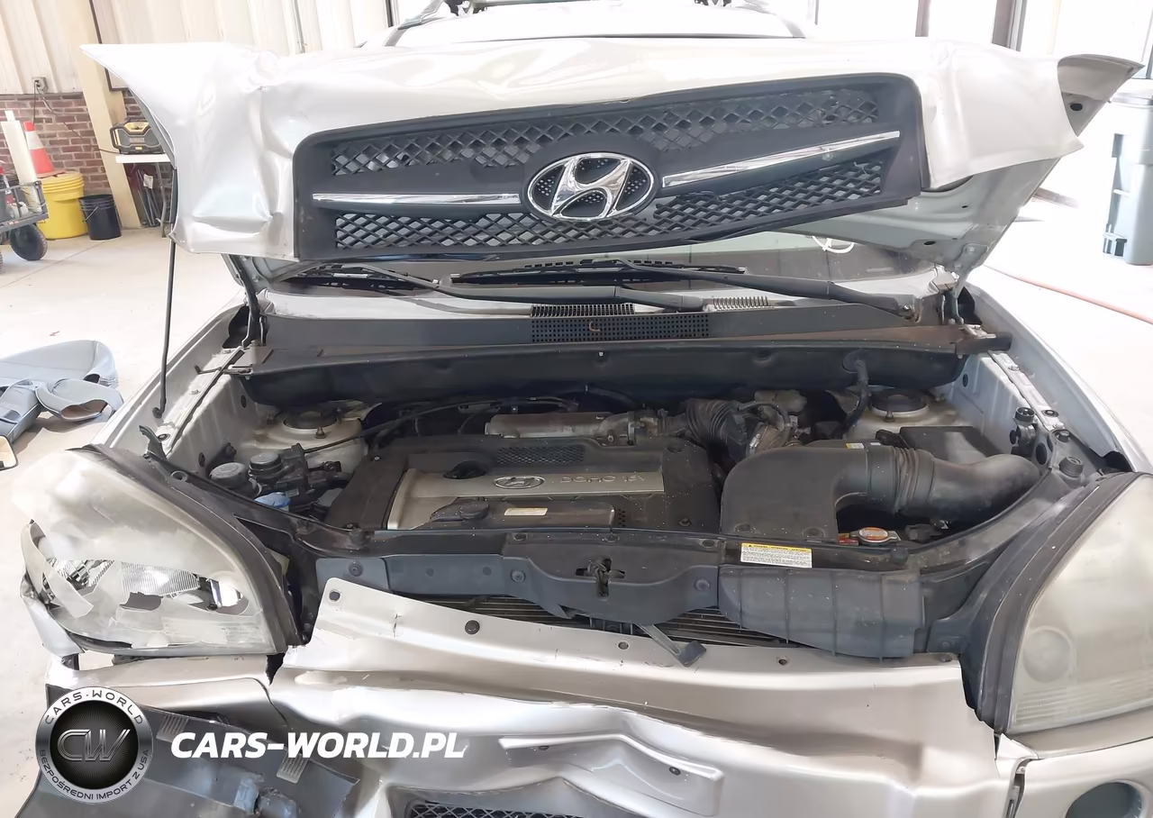 2006 Hyundai Tucson Gl VIN:KM8JM12B36U473000 - 10