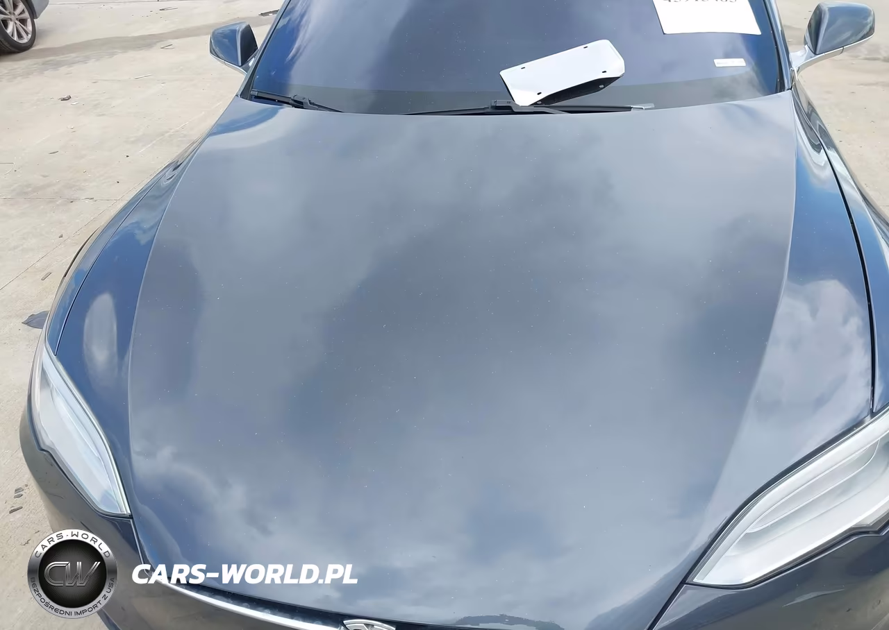 2016 Tesla Model S 60D-70D-75D-85D-90D VIN:5YJSA1E21GF169767 - 10