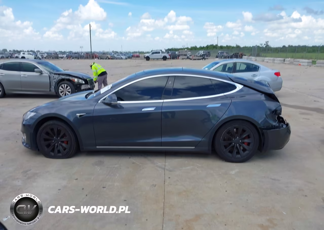 2016 Tesla Model S 60D-70D-75D-85D-90D VIN:5YJSA1E21GF169767 - 13