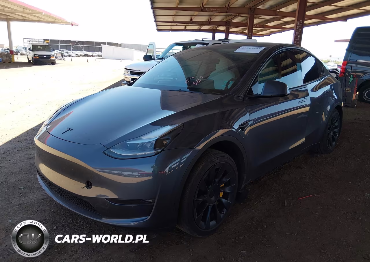 2023 Tesla Model Y VIN:7SAYGDEE1PF644762 - 2