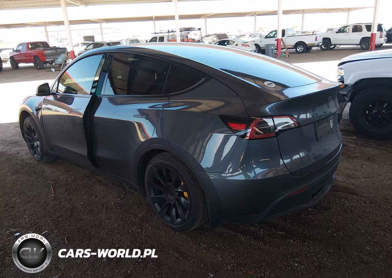 2023 Tesla Model Y VIN:7SAYGDEE1PF644762 - 3