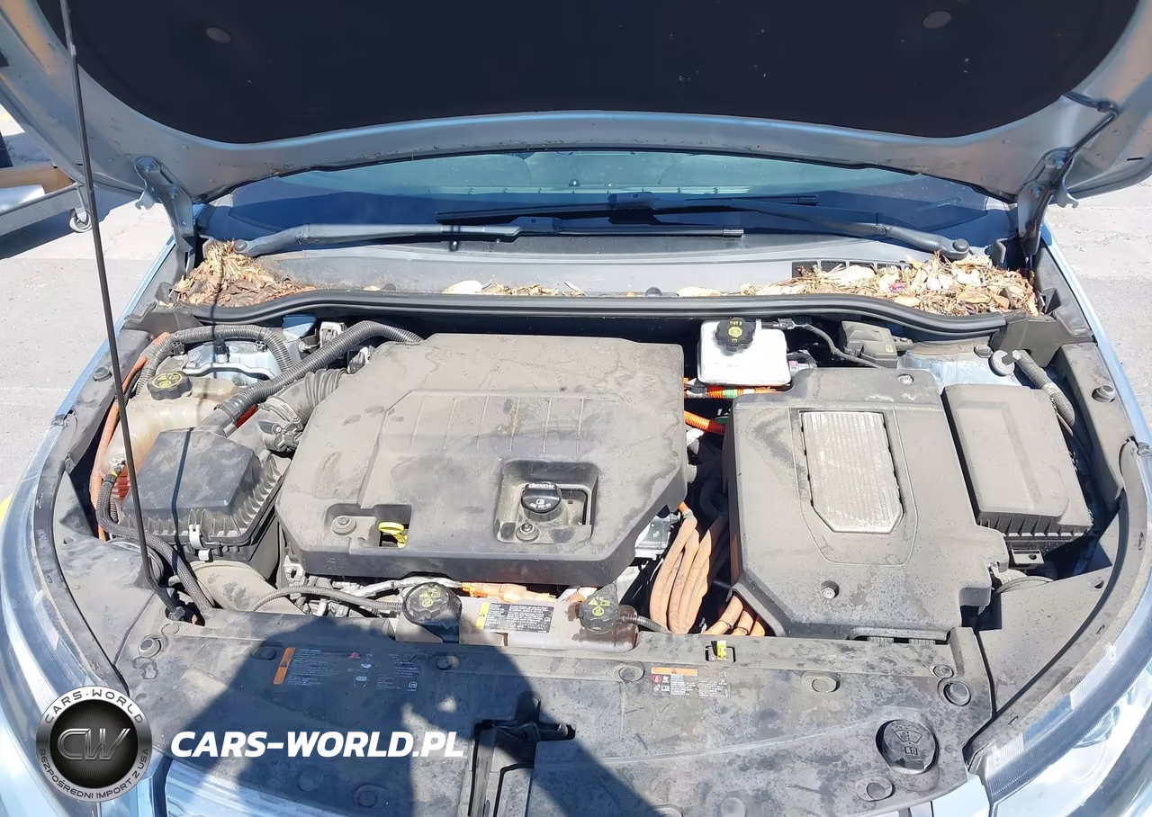2015 Chevrolet Volt VIN:1G1RC6E4XFU125420 - 10