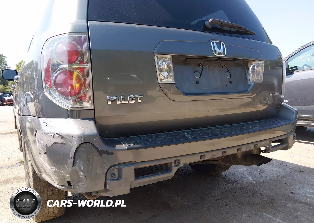 2007 Honda Pilot Ex VIN:5FNYF18487B023374 - 6