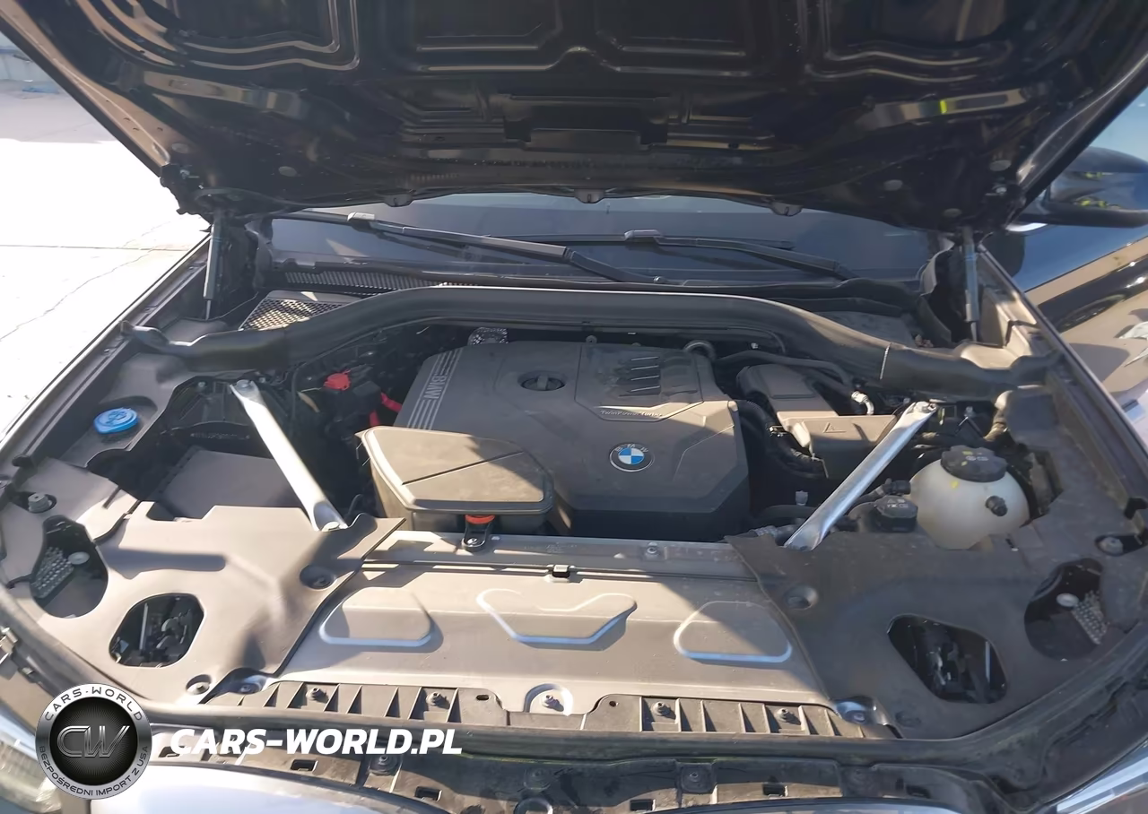 2024 BMW X3 Sdrive30I VIN:5UX43DP06R9V22144 - 10