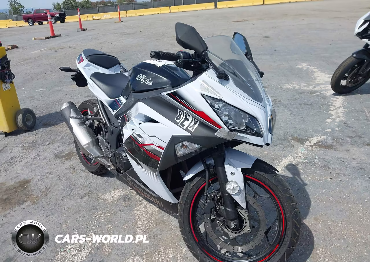 2014 Kawasaki Ex300 B – zdjęcie 1 z 15