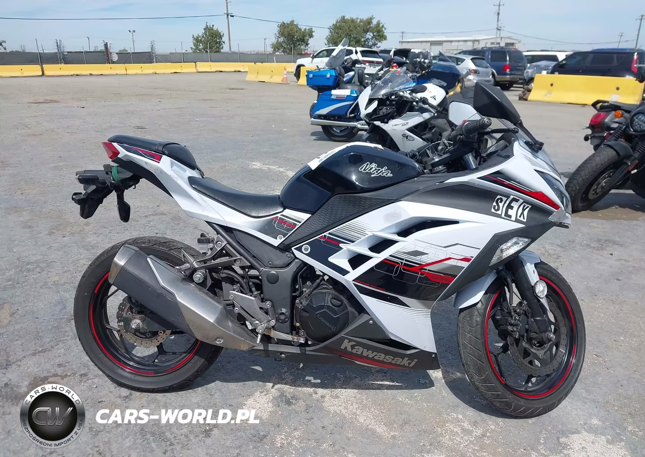 2014 Kawasaki Ex300 B VIN:JKAEX8B16EA000697 - 12