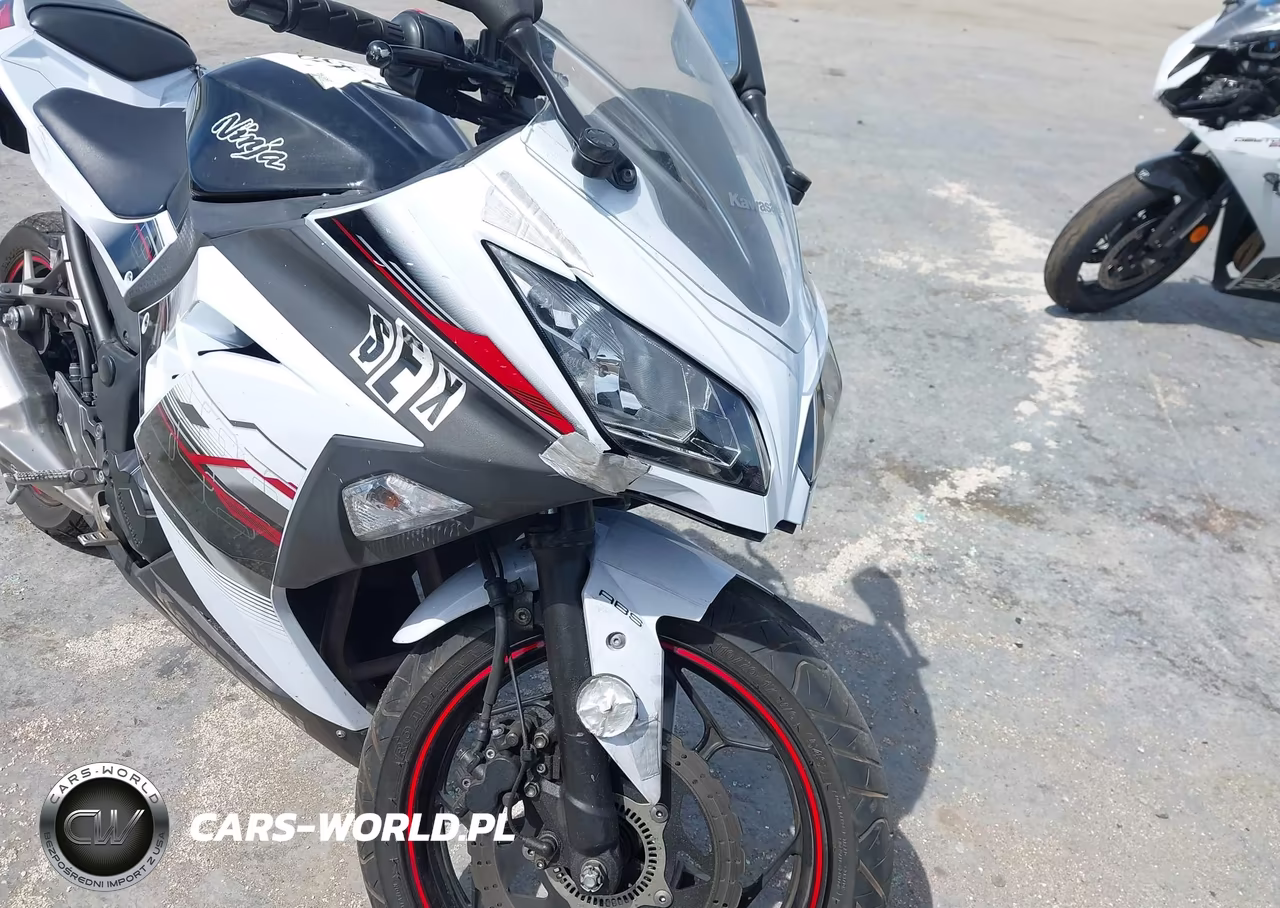 2014 Kawasaki Ex300 B VIN:JKAEX8B16EA000697 - 15