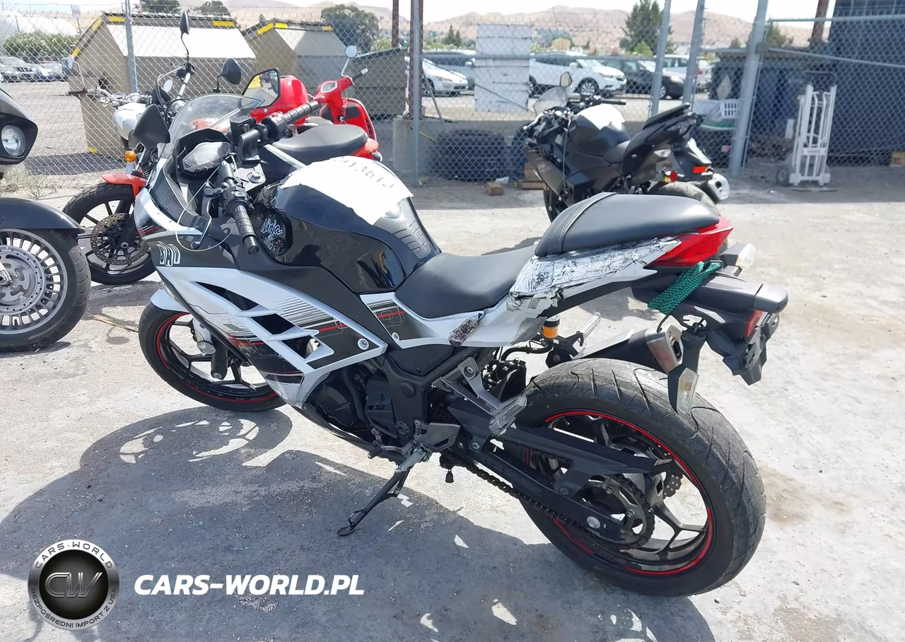 2014 Kawasaki Ex300 B VIN:JKAEX8B16EA000697 - 3
