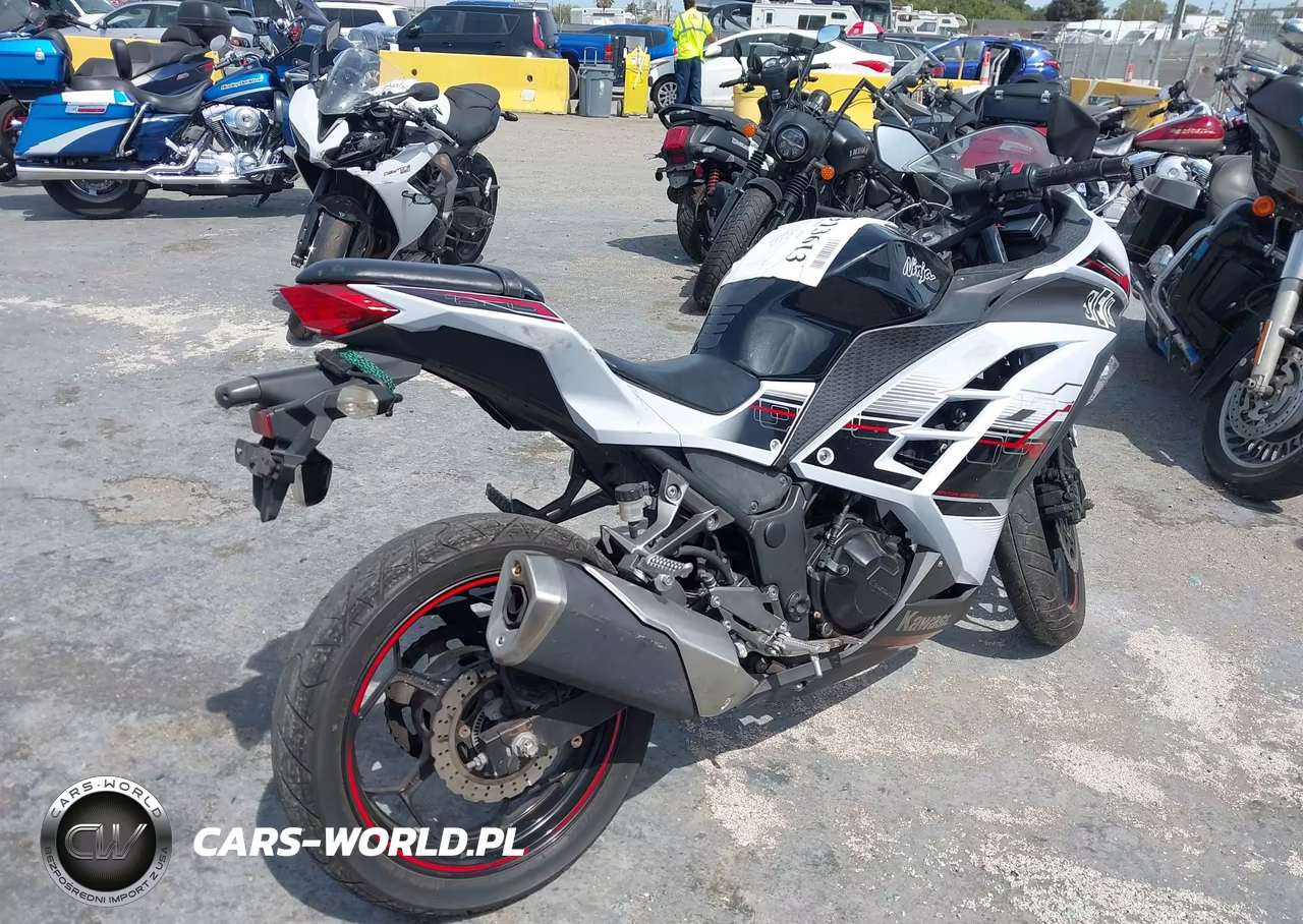 2014 Kawasaki Ex300 B VIN:JKAEX8B16EA000697 - 4