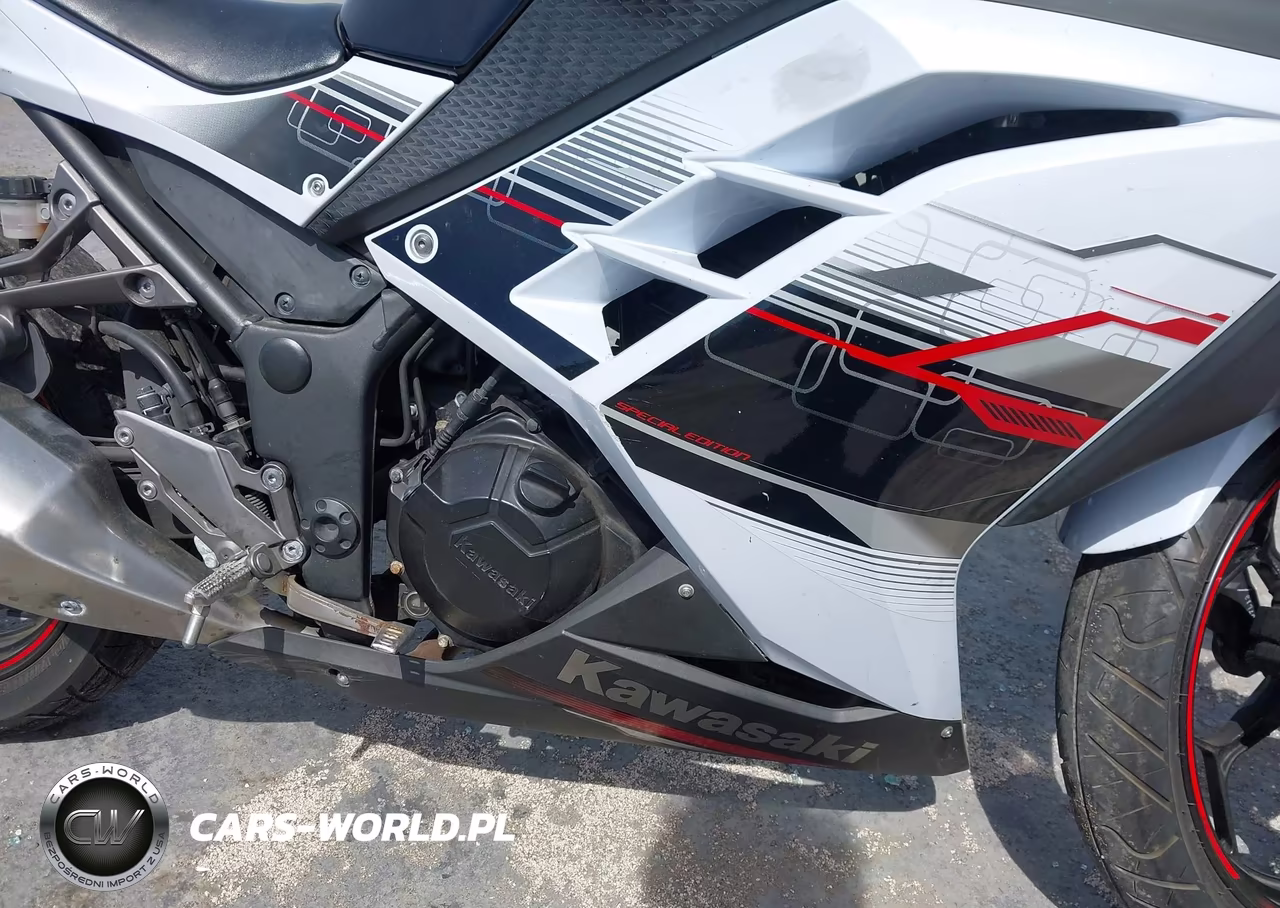 2014 Kawasaki Ex300 B VIN:JKAEX8B16EA000697 - 8