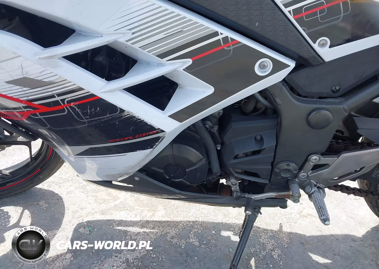 2014 Kawasaki Ex300 B VIN:JKAEX8B16EA000697 - 9