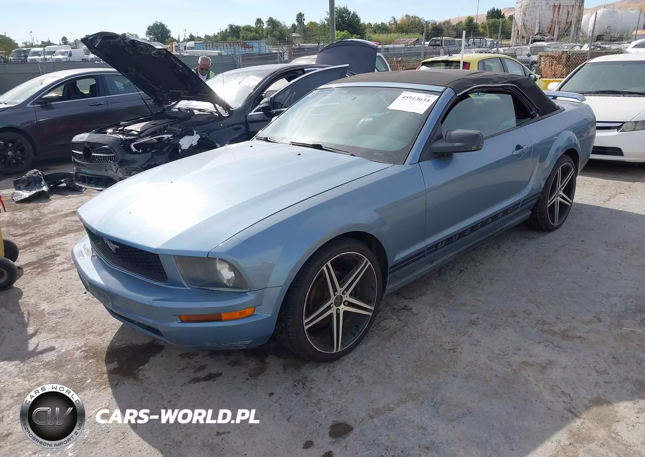 2005 Ford Mustang VIN:1ZVFT84N255256315 - 2