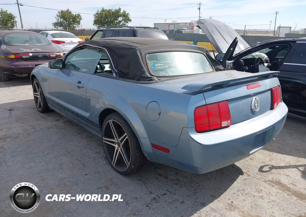 2005 Ford Mustang VIN:1ZVFT84N255256315 - 3