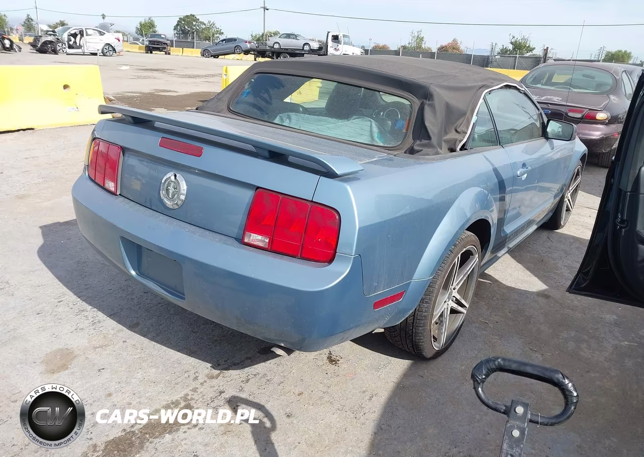 2005 Ford Mustang VIN:1ZVFT84N255256315 - 4
