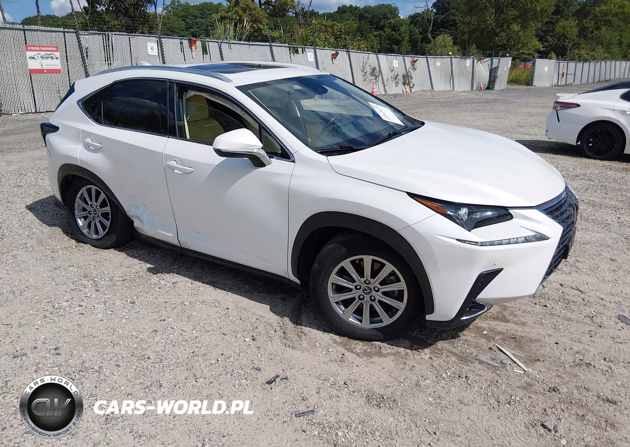 2021 Lexus Nx 300 VIN:JTJDARDZ4M5020446 - 1