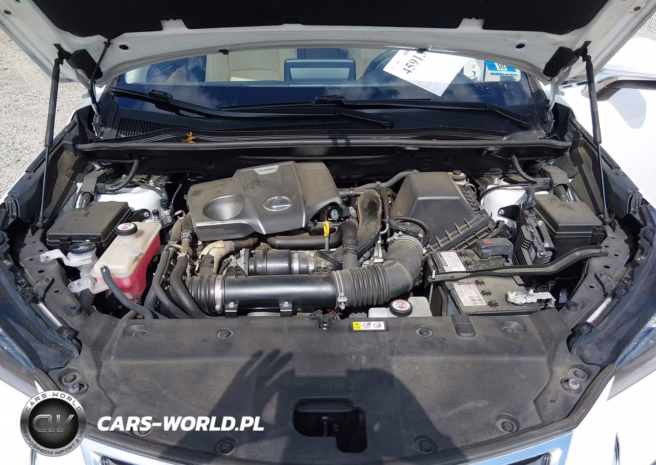 2021 Lexus Nx 300 VIN:JTJDARDZ4M5020446 - 10
