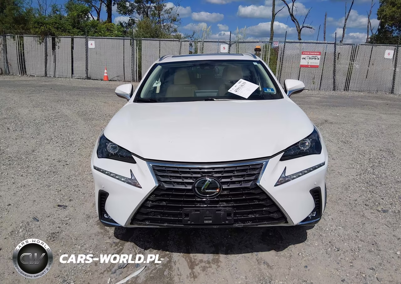 2021 Lexus Nx 300 VIN:JTJDARDZ4M5020446 - 12