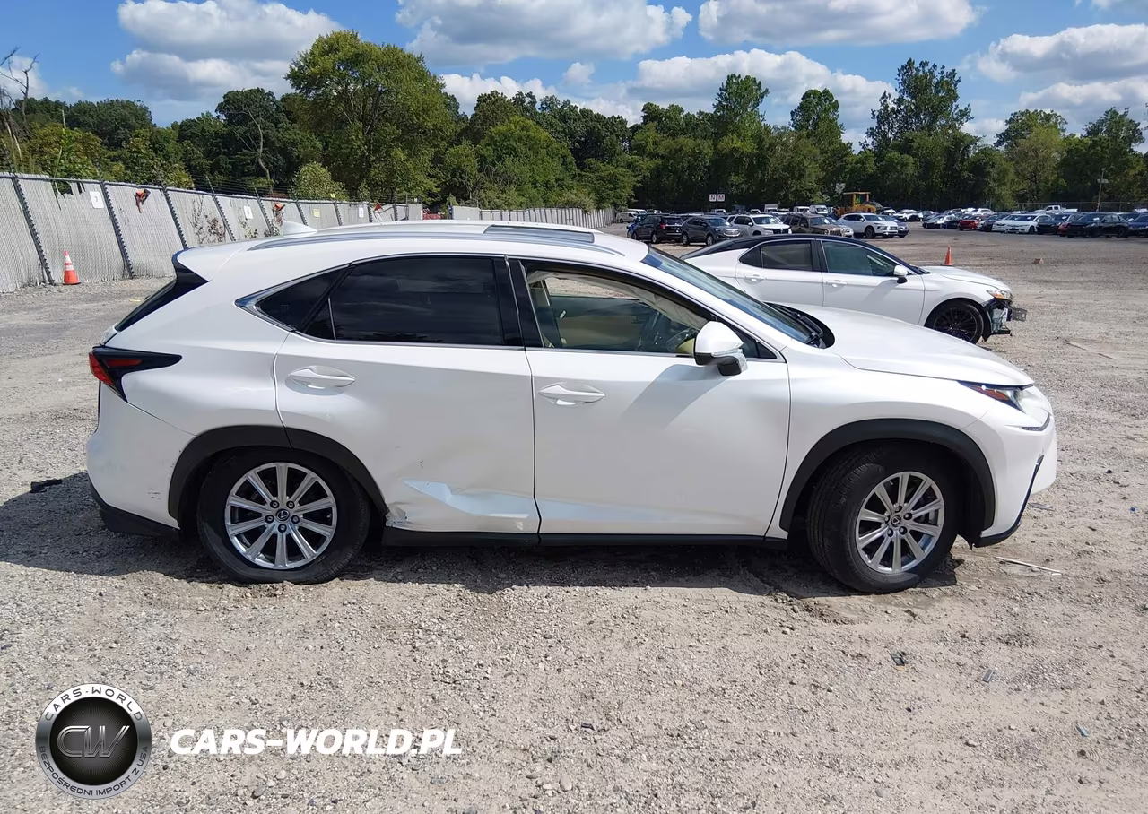 2021 Lexus Nx 300 VIN:JTJDARDZ4M5020446 - 13