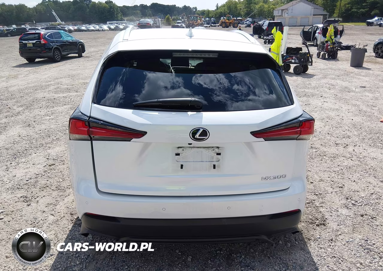 2021 Lexus Nx 300 VIN:JTJDARDZ4M5020446 - 16
