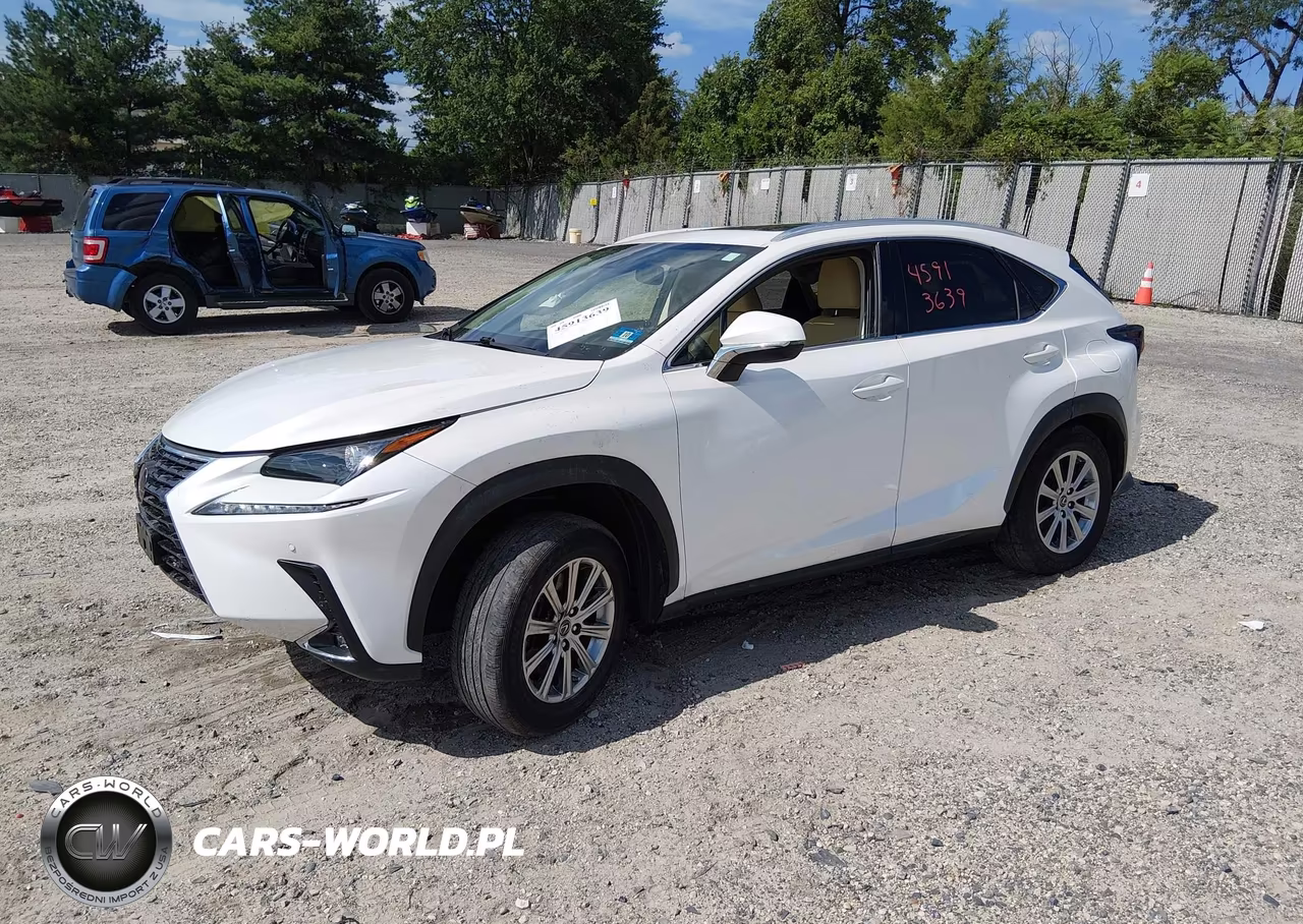 2021 Lexus Nx 300 VIN:JTJDARDZ4M5020446 - 2