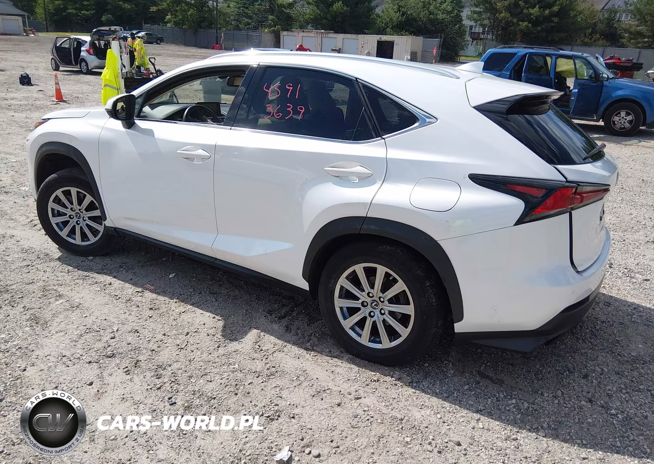 2021 Lexus Nx 300 VIN:JTJDARDZ4M5020446 - 3